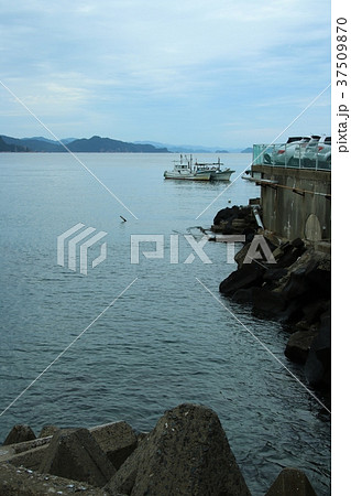 萩：越ヶ浜の早朝風景 37509870