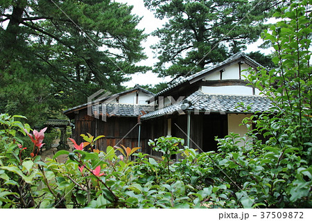 松下村塾の側面（山口県萩市） 37509872