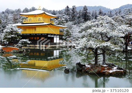 雪の金閣寺 37510120