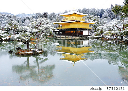 雪の金閣寺の写真素材