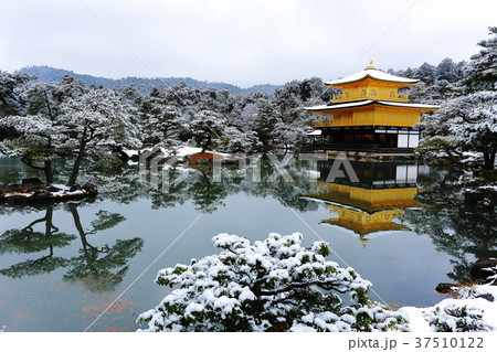 雪の金閣寺 37510122
