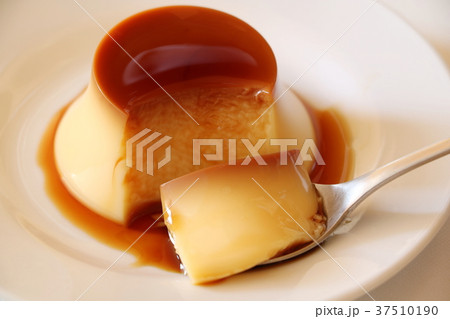 プリン プリン 37510190