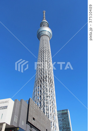 東京スカイツリー 東京スカイツリー 37510489