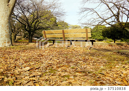 公園 ベンチ 公園 ベンチ 37510838