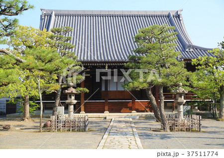 京都　上善寺 37511774