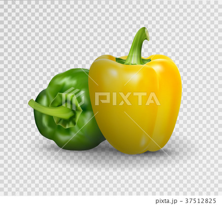 Vector realistic illustration of sweet pepper. 3d 37512825