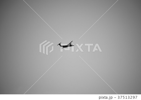 飛行機 37513297