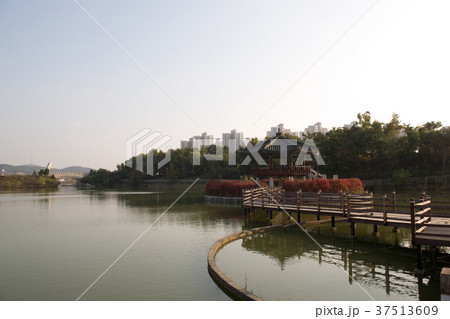 湖 公園 アパート 37513609