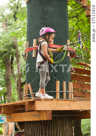 Child in a adventure playground Child in a adventure playground 37513816