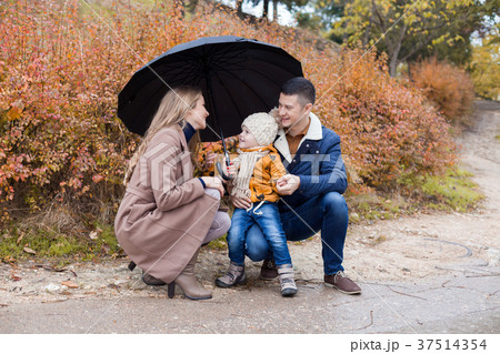 family autumn in the Park in the rain umbrella 37514354