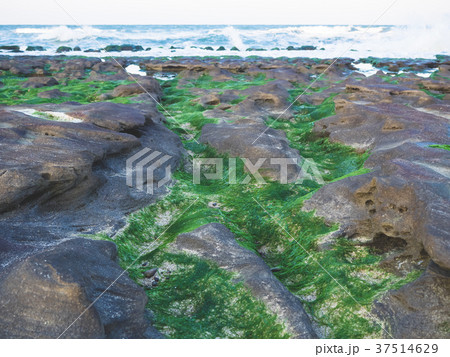 台湾 台北 台北市 37514629