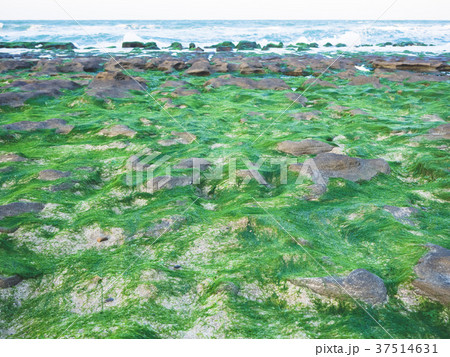 台湾 台北 台北市 37514631