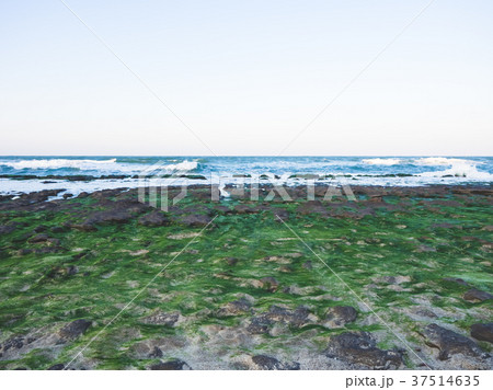 台湾 台北 台北市 37514635