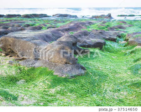 台湾 台北 台北市 37514650