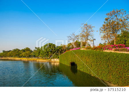 Stone Bridge in a park with lake on blue sky 37515210
