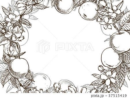 Vector card spring. Black and white blooming 37515419