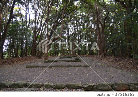 宗像大社　高宮祭場 37516265