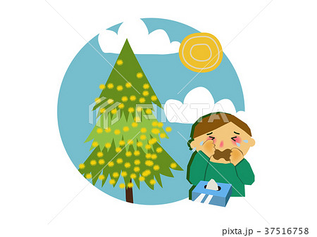 花粉症と杉のイラスト。アレルギーのイメージイラスト。 37516758