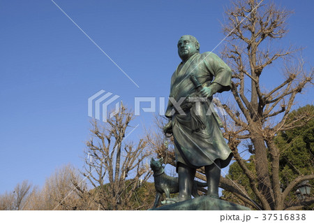 上野公園西郷隆盛像 上野公園西郷隆盛像 37516838
