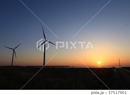 北海道　根室市　落石と風車 37517001