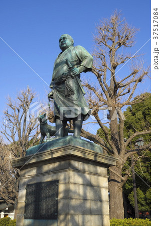 上野公園西郷隆盛像 37517084