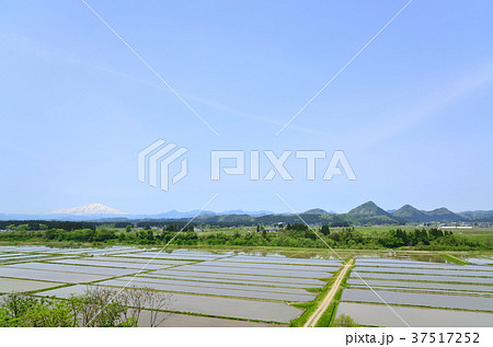 山形県金山町 37517252