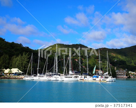 プララン島の港 37517341