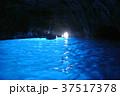 青の洞窟 37517378