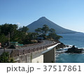 開聞岳　薩摩富士 37517861