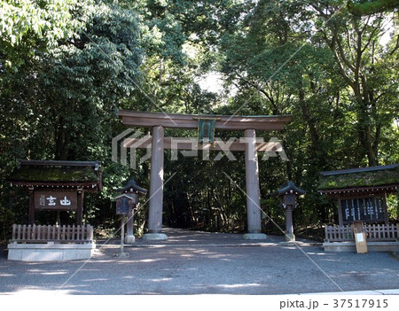 大神神社・正面鳥居 37517915