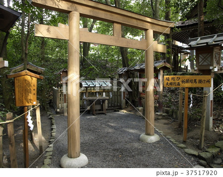 大神神社 縁結び夫婦円満祈願絵馬掛け所の写真素材