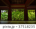 新緑の談山神社 37518235