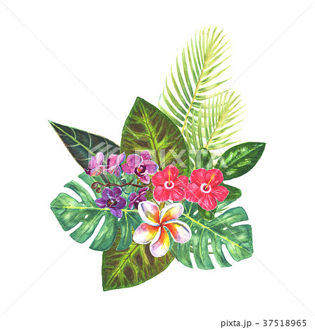 Exotic tropical flowers bouquet 37518965