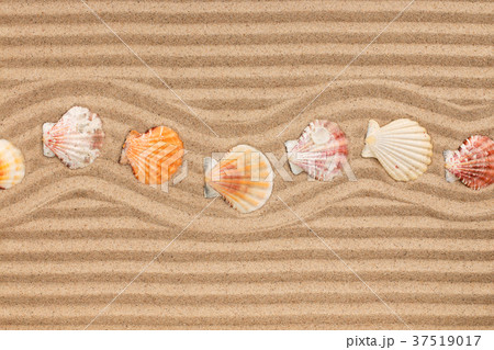 Frame made of seashell lying zigzag, on wavy sand. Frame made of seashell lying zigzag, on wavy sand. 37519017