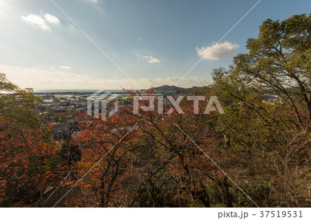 秋の紀三井寺 秋の紀三井寺 37519531