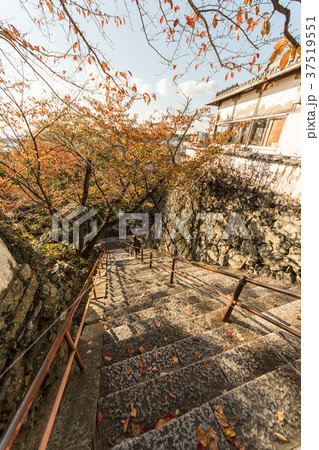 秋の紀三井寺 秋の紀三井寺 37519551
