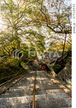 秋の紀三井寺 37519555