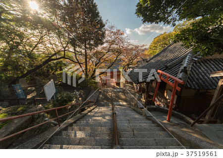 秋の紀三井寺 秋の紀三井寺 37519561
