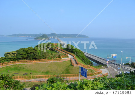 角島 37519692