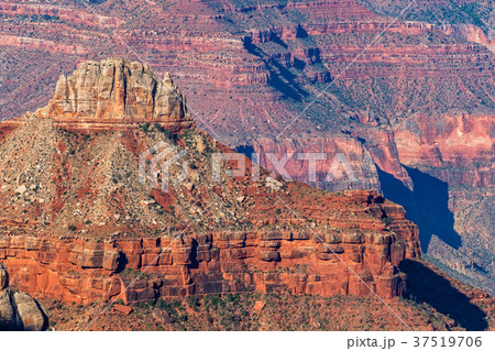 Grand Canyon North Rim 37519706
