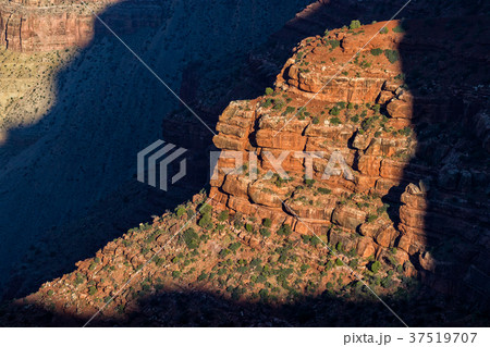 Grand Canyon North Rim 37519707