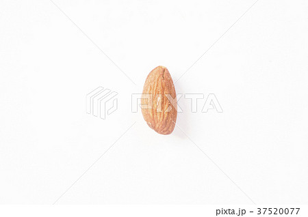 木の実 ナット 堅果 37520077