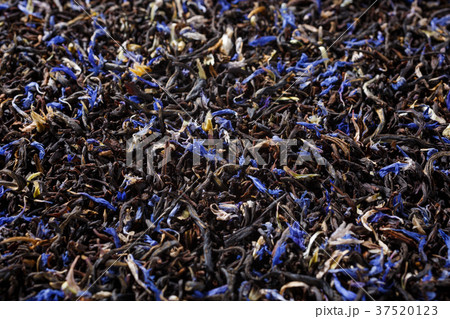 Black tea background Black tea background 37520123