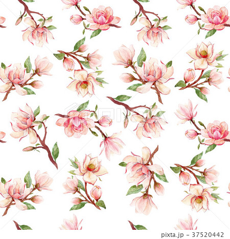 Watercolor Magnolia Floral Patternのイラスト素材