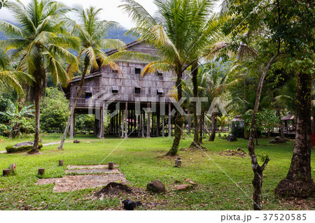 Traditional wooden houses Melanau Tall 37520585