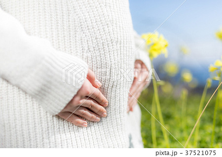 妊娠中期 妊娠中期 37521075