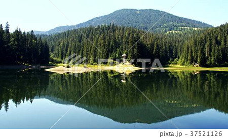 Lake Synevir in Carpathian Mountains in Ukraine 37521126