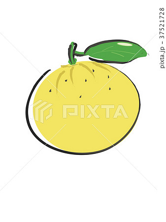 ゆず スダチ フルーツ 37521728