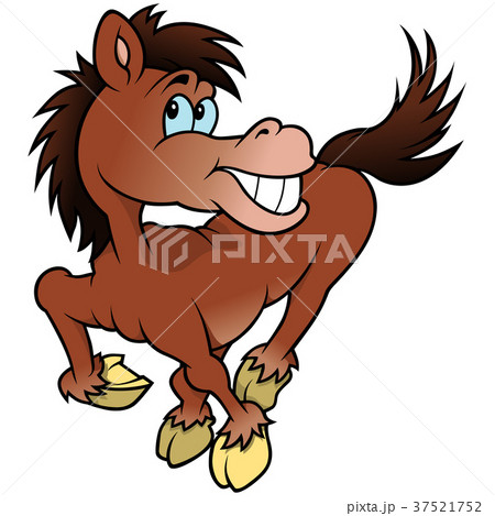 Cheerful Horse 37521752