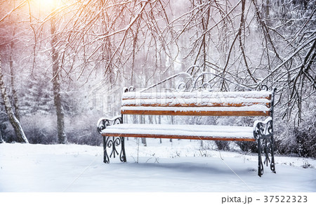 Park bench and trees covered by heavy snow 37522323